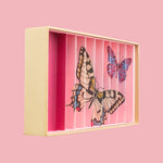 Billes & Co butterfly designed box to display marbles
