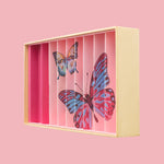 Billes & Co butterfly box to display marbles