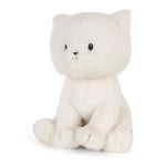 Bon Ton Toys Dolly the Ragdoll