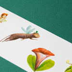 Londji illustrated fairy, dragonfly, and flowers on a white card with a green background