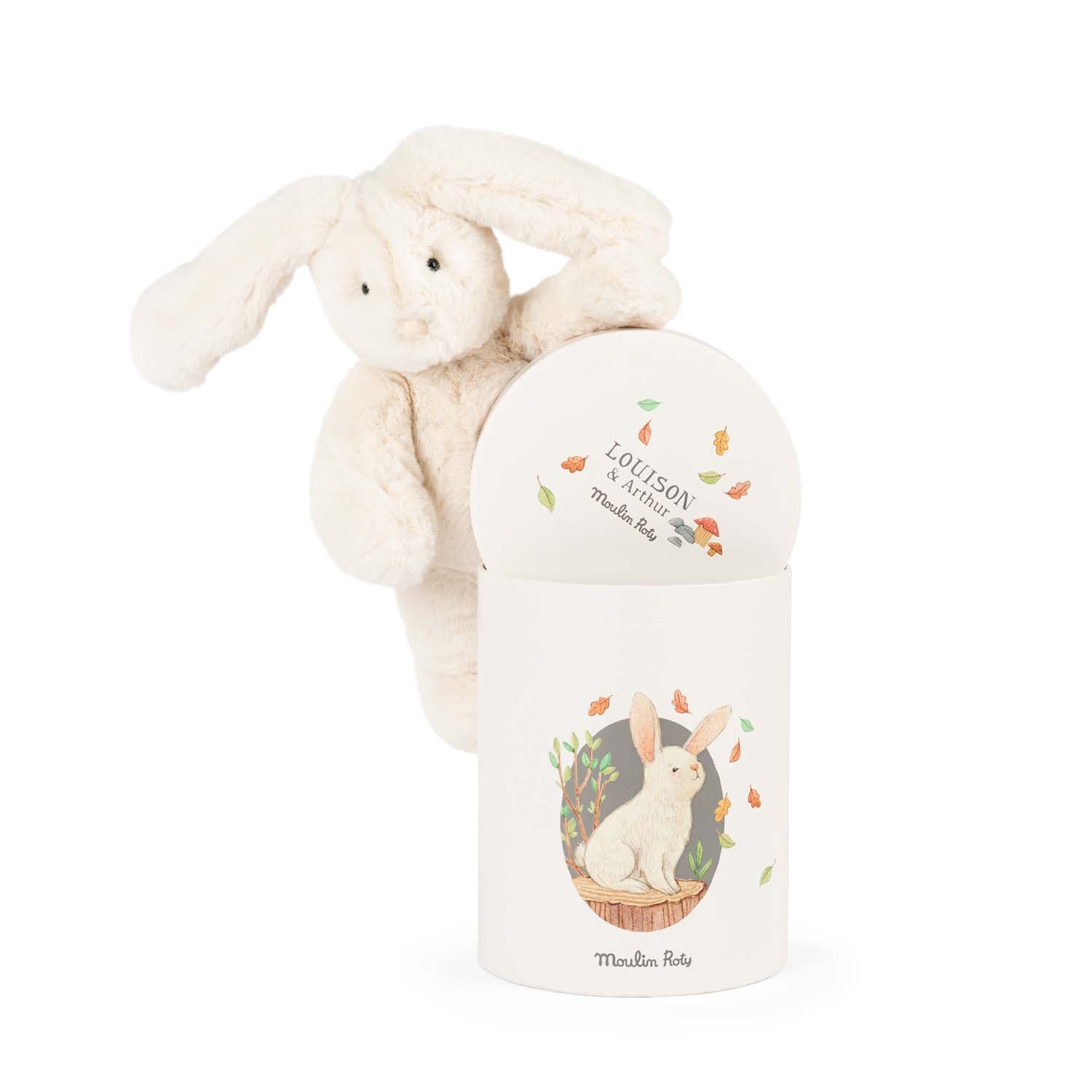 Moulin Roty Louison Rabbit in a Box Arthur and Louison