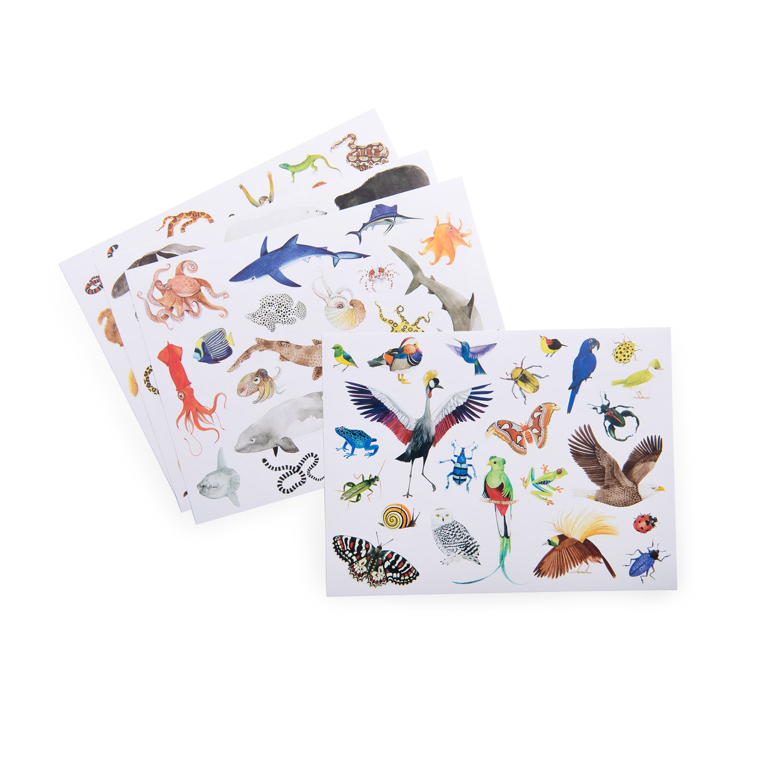 Moulin Roty Stickers Tout Autour du Monde