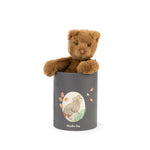 Moulin Roty Arthur Bear in a Box Arthur Louison in Box