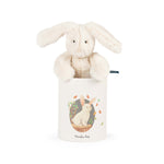 Moulin Roty Louison Rabbit in a Box Arthur and Louison and Box