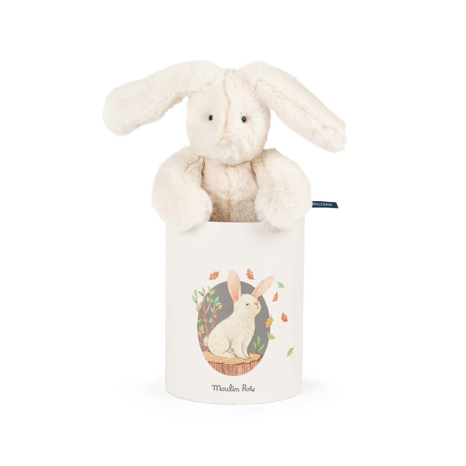 Moulin Roty Louison Rabbit in a Box Arthur and Louison and Box