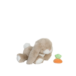 Olli Ella Binky Bunny Hop