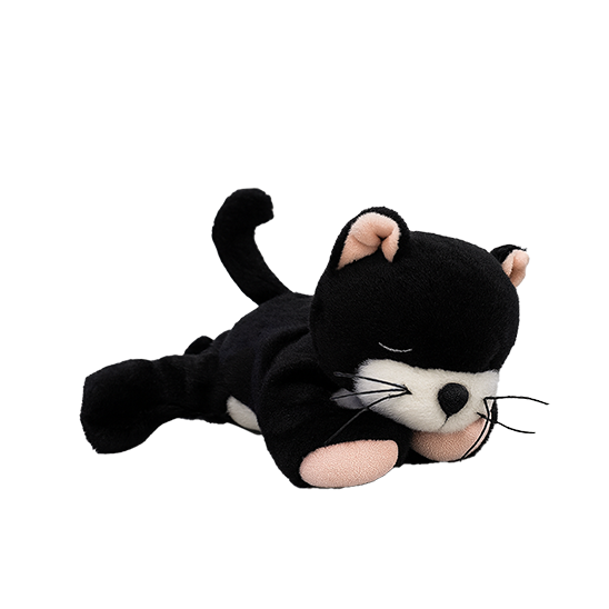 Black and white plush toy cat on a white background