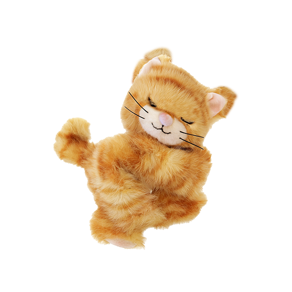 Plush toy cat on a white background