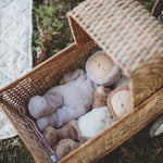 Olli Ella Cozy Dinkum Bunny Twinkle Lilac in basket with friends
